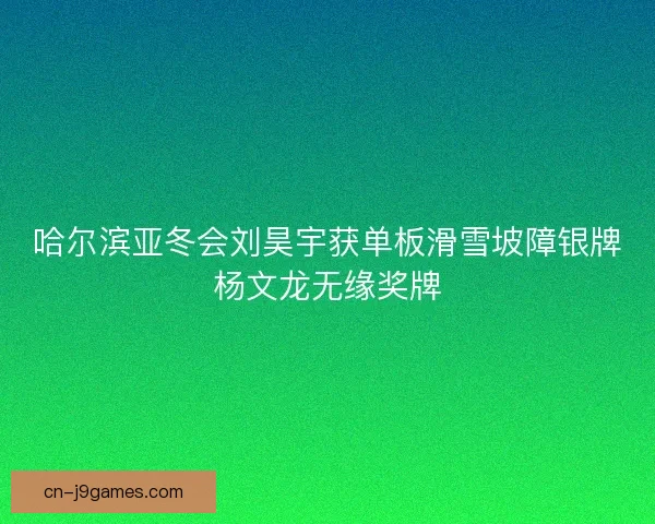 哈尔滨亚冬会刘昊宇获单板滑雪坡障银牌杨文龙无缘奖牌